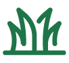 Description of the image