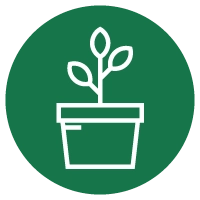 Landscape Solid Icon