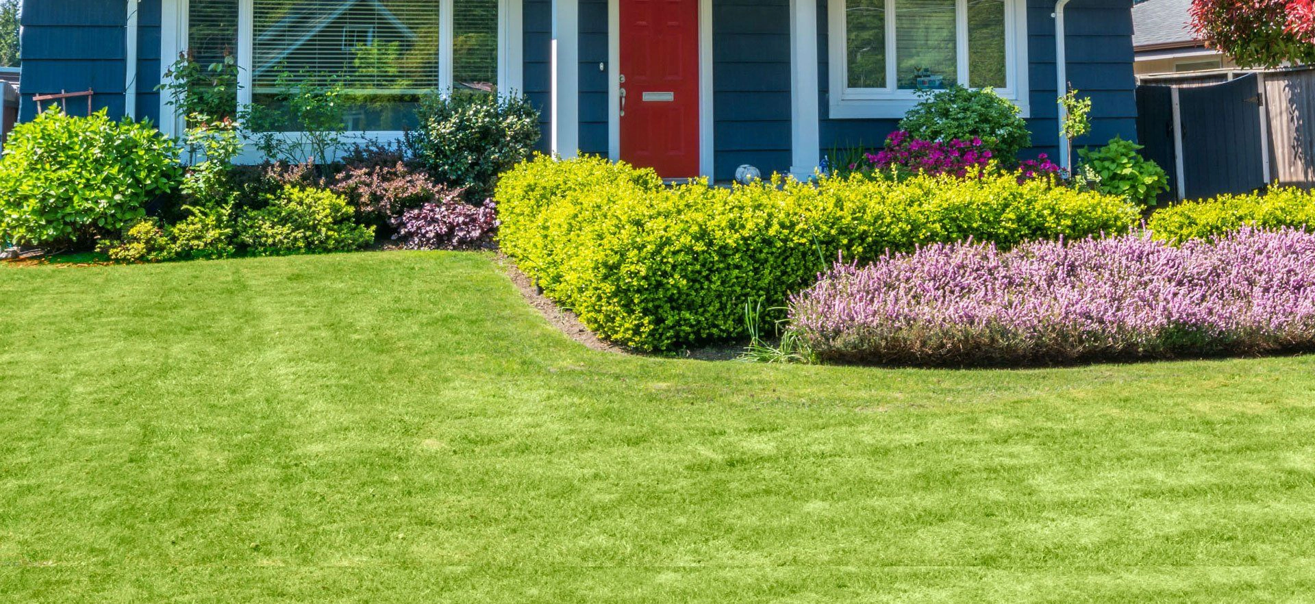 Mowed and landscaped yard with planters