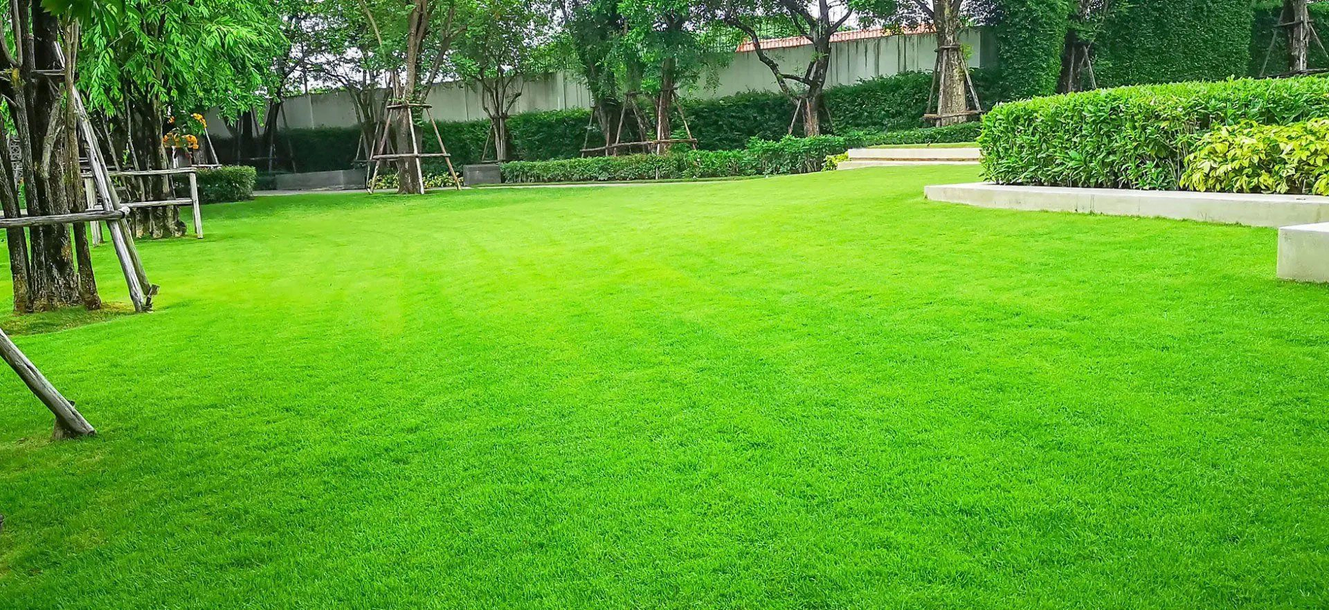 Mowed grass landscape